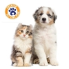 Southside Veterinary Clinic - Broken Arrow gallery