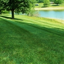 Lawn Doctor - Lawn Maintenance