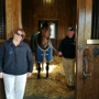 Ashford Stud