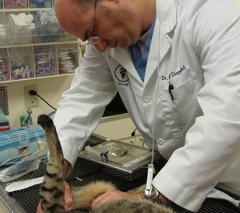 Clairemont Village Pet Clinic - San Diego, CA