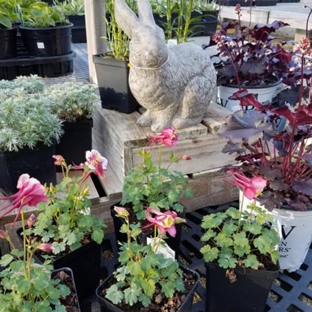 Shady Acres Perennial Nursery - New Berlin, WI