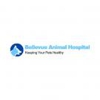 Bellevue Animal Hospital gallery