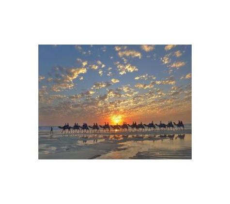 Broome Camel Safaris - Bilingurr, WA