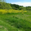 Arbor Hills Nature Preserve gallery