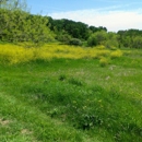 Arbor Hills Nature Preserve - Tourist Information & Attractions