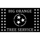 Big Orange Tree Service by Jason Stiltner - House Cleaning