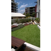 Gallery Image Number 2