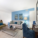 Regency Park Apartment Homes - Apartments