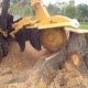 DM Tree Service Inc