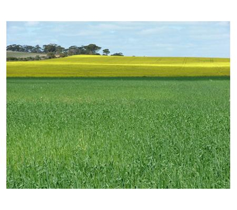 Global Sealing Services Pty Ltd - Maddington, WA
