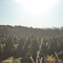 Tall Timbers Tree Farm - Christmas Trees