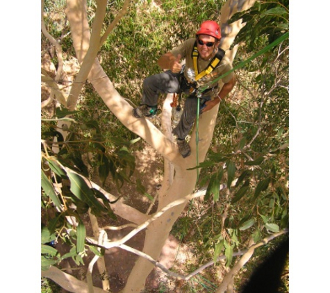 CPD Tree Services - Helena Valley, WA