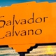 The Calvano