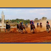 Gallery Image Number 7