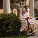 Orkin - Pest Control Services