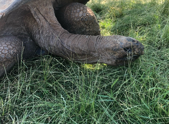 Reptile Gardens - Rapid City, SD