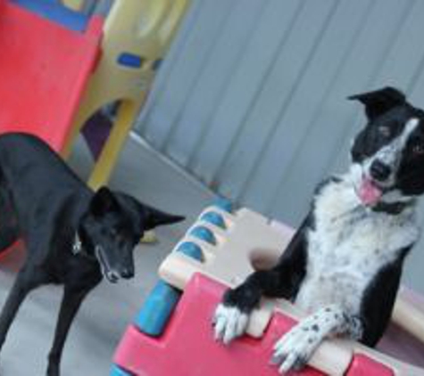 Vetcentre