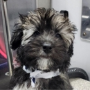 Kontota Mobile Dog Grooming of Cincinnati, OH - Pet Grooming