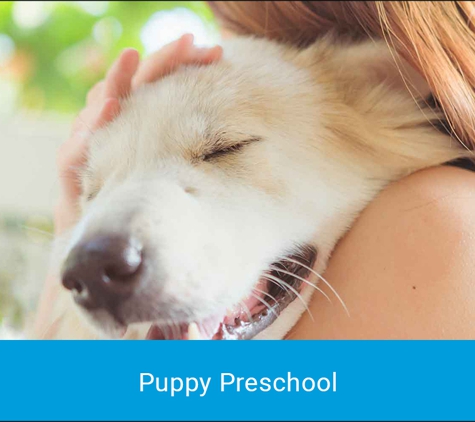 Cronulla Veterinary Clinic - Cronulla, NSW. Puppy Preschool