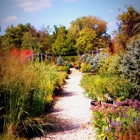 Seely's Landscape Nursery