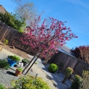 Lara's Landscape & Maintenance - Landscaping & Lawn Services