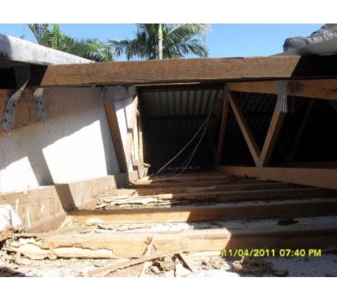 Cairns Pest Control Services - Edmonton, QLD