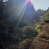 RAM Landclearing gallery