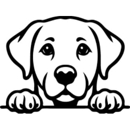 LabraDoor Overhead Services - Garage Doors & Openers