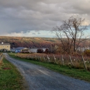 Divided Sky Vineyard - Wineries