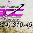 ECC Mold Removal & Remediation of Hanover Park / Bloomingdale - Mold Remediation