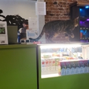 Big Cat Vapors - Pipes & Smokers Articles