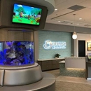 Bulleigh Orthodontics - Dentists