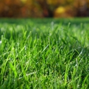Top Dog Lawn Service - Landscape Designers & Consultants