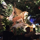 Rainforest Cafe - American Restaurants