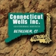 Connecticut Wells, Inc.