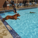 Danny's Pool Service & Repair - Swimming Pool Repair & Service