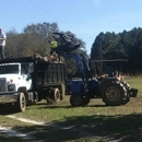 Affordable Carolina Tree Service - Stump Removal & Grinding