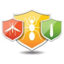 Got Bugs? Termite & Pest Solutions, Inc - Pest Control Services