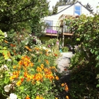 The Village Green Perennial Garden and Nursery