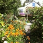 The Village Green Perennial Garden and Nursery