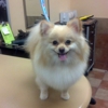 Petshotel gallery