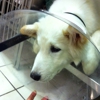 Bay-Porte Animal Clinic gallery