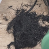 General Rooter of Southern MN - Sewer & Drain Cleaning gallery
