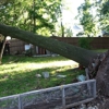 Top Quality Tree Service gallery