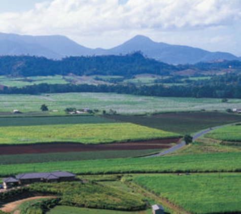 Valuers Australia Pty Ltd - Lismore, NSW