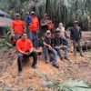The Wood Doctor Tree Service gallery