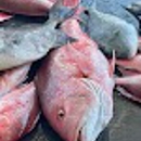 Hook'em Up Charters - Boat Rental & Charter