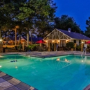 The Birches Apartments - Furnished Apartments