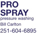 Pro Spray Painting and Pressure Washing - Painting Contractors