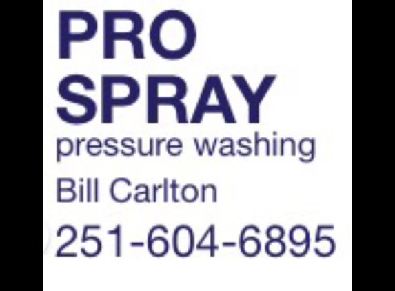 Pro Spray Painting and Pressure Washing - Sylacauga, AL